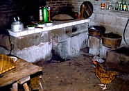 Farmhouse kitchen with live hen.