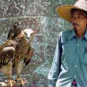 Tethered eagle with keeper at Yangshuo