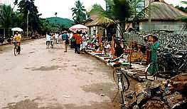 Market in Jinghong