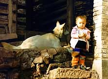 Dog with Yin's nephew