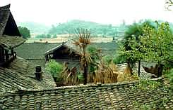 View over curved tiled roof.